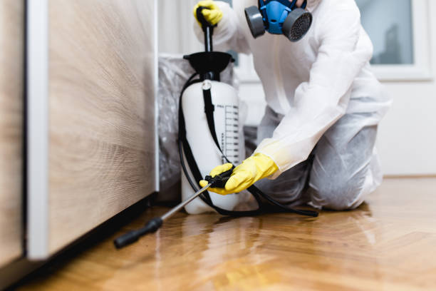 Best Pest Control for Homes  in Junction, TX