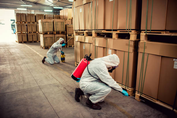 Best Ant Control Services  in Junction, TX