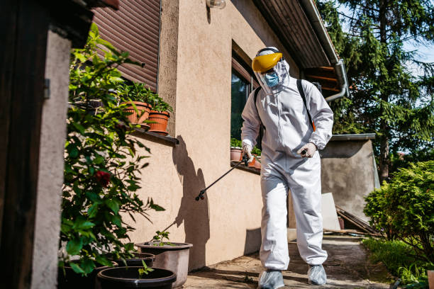 Best Affordable Pest Control Services  in Junction, TX