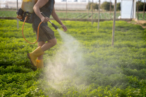 Best Residential Pest Control  in Junction, TX